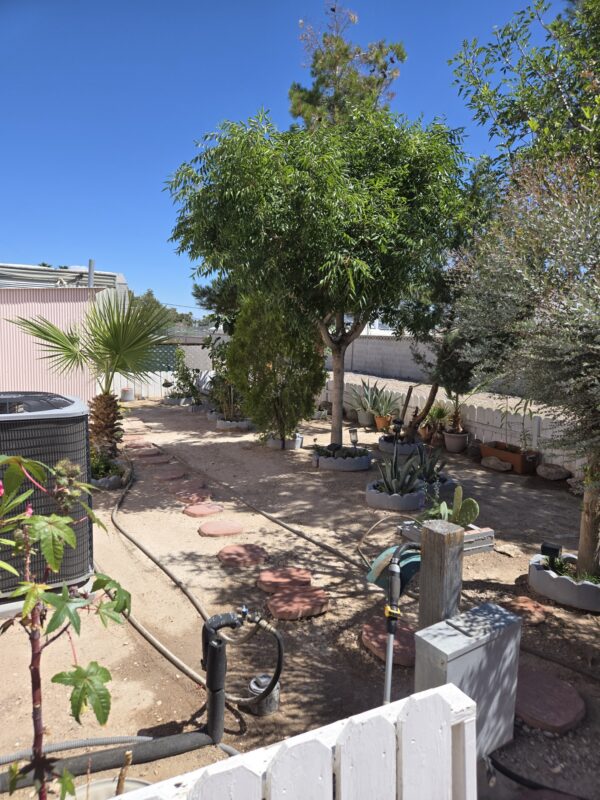 3601 E Wyoming ave,. Las Vegas, Nv 89104 - Image 16